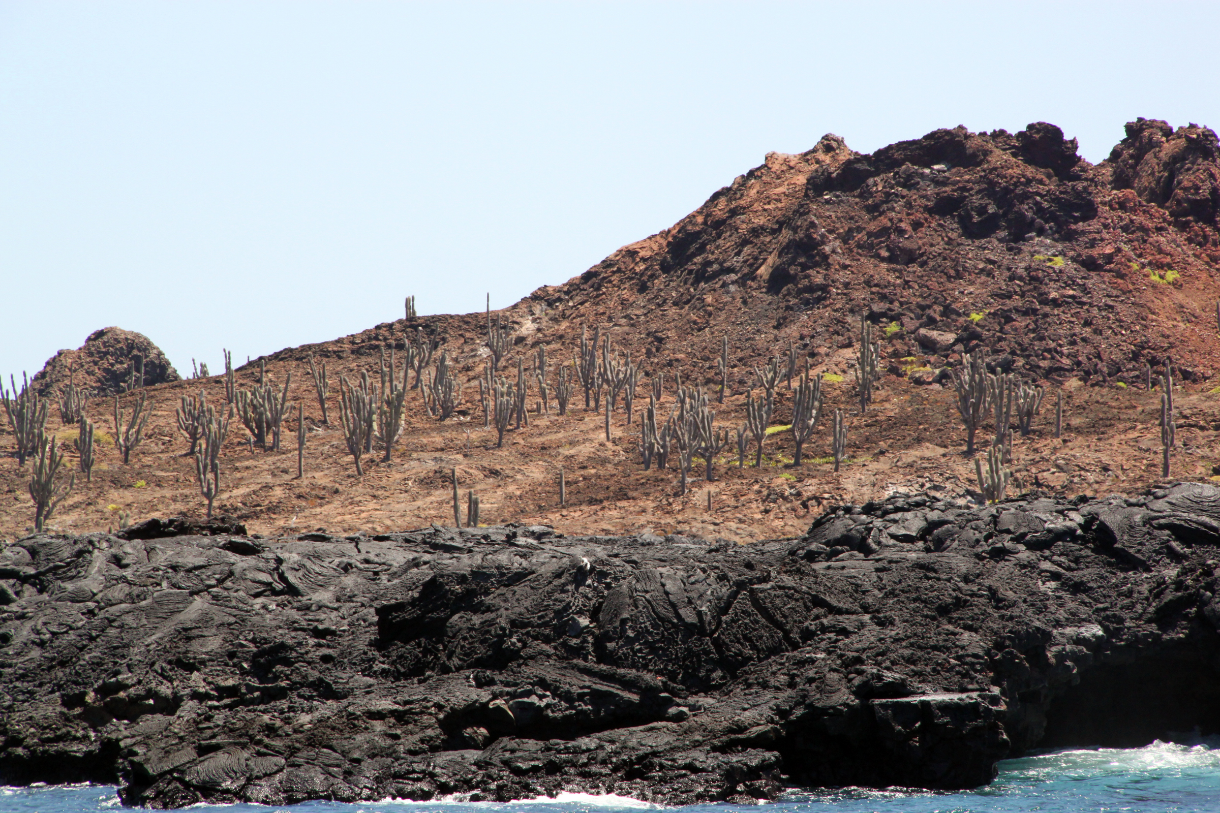 sombrero chino (chinese hat), galapagos islands 03.webp